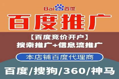行业领先企业的SEM广告投放策略案例